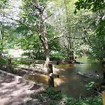Mazury Caloroczny Gm Ostroda Jezioro * Pelnik