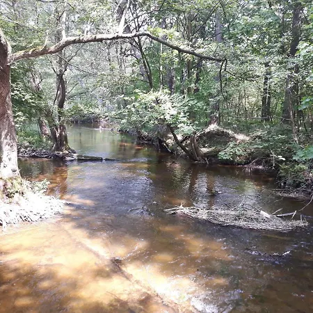 Mazury Caloroczny Gm Ostroda Jezioro בית נופש Pelnik